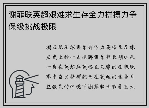 谢菲联英超艰难求生存全力拼搏力争保级挑战极限
